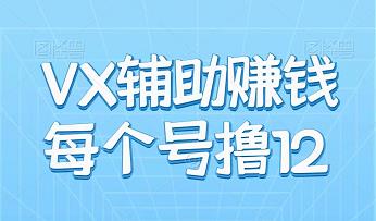 刚出的VX辅助注册平台，单号12，多号多得！-能赚项目网