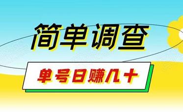 简单调查赚钱，单号日赚几十，多号多得-能赚项目网