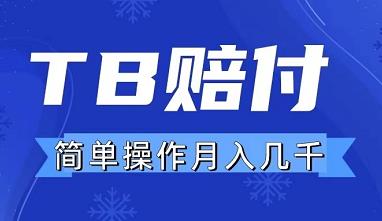 外面卖188的TB虚假发货赔付项目，轻松月入几千！-能赚项目网