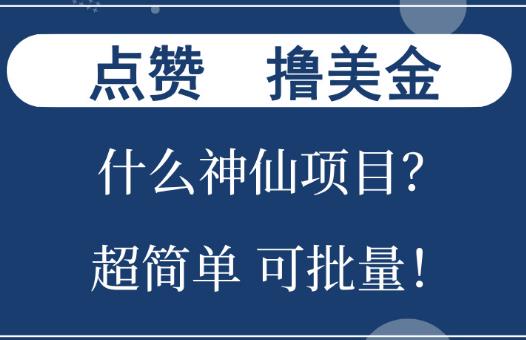 点攒就能撸美金？单号月撸几千，可手动 可自动！-能赚项目网